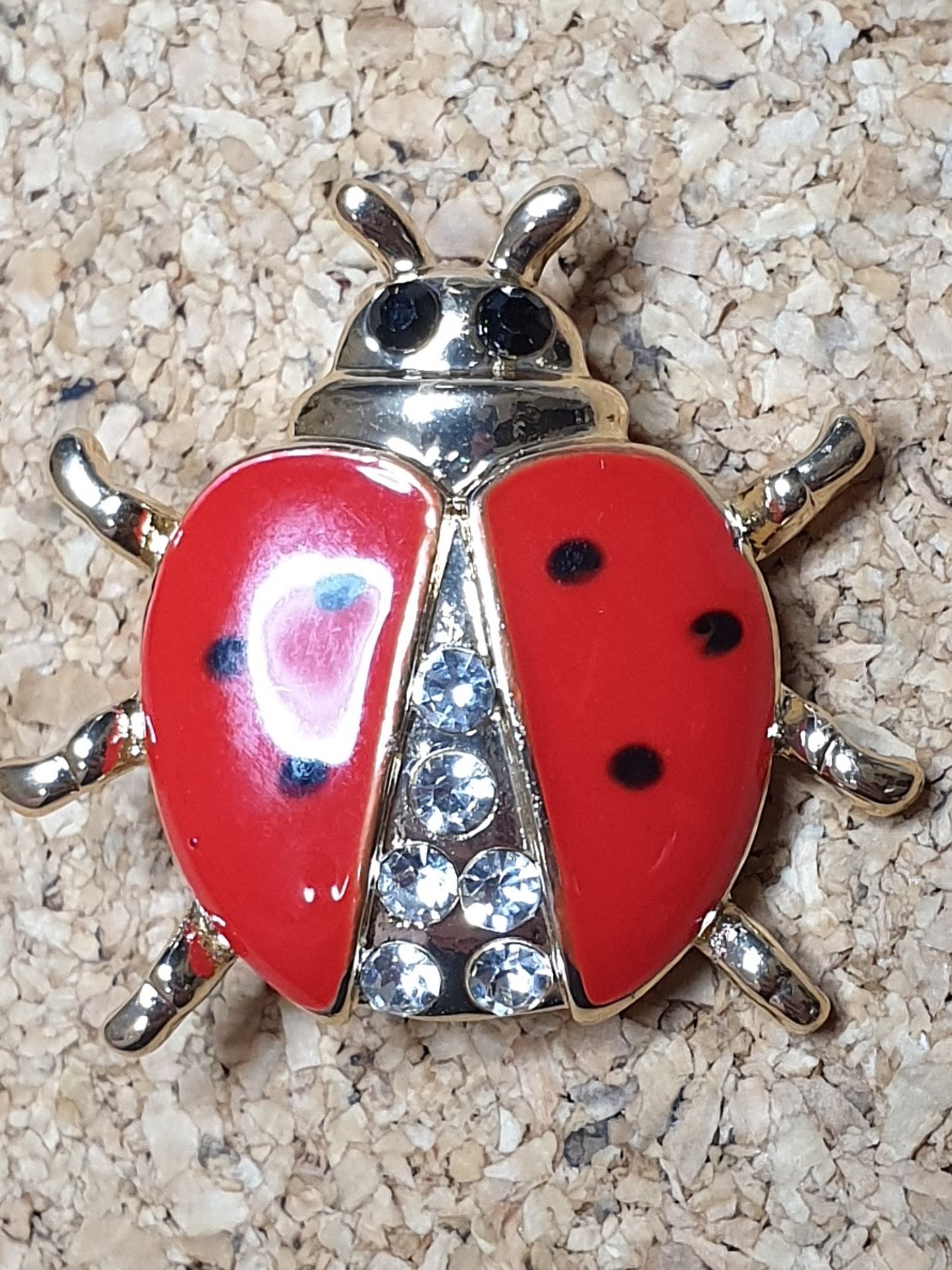 Ladybird Beetle Fashion Brooch - Small