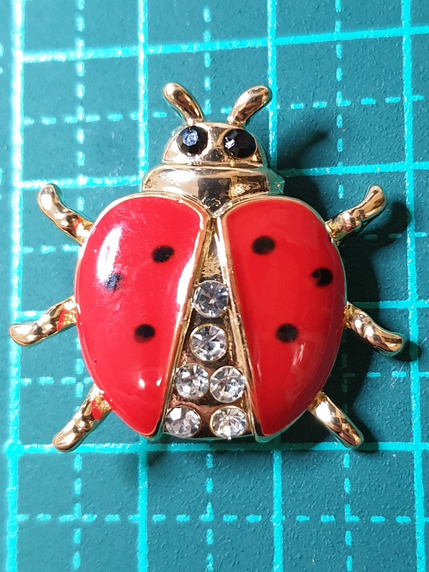 Ladybird Beetle Fashion Brooch - Small