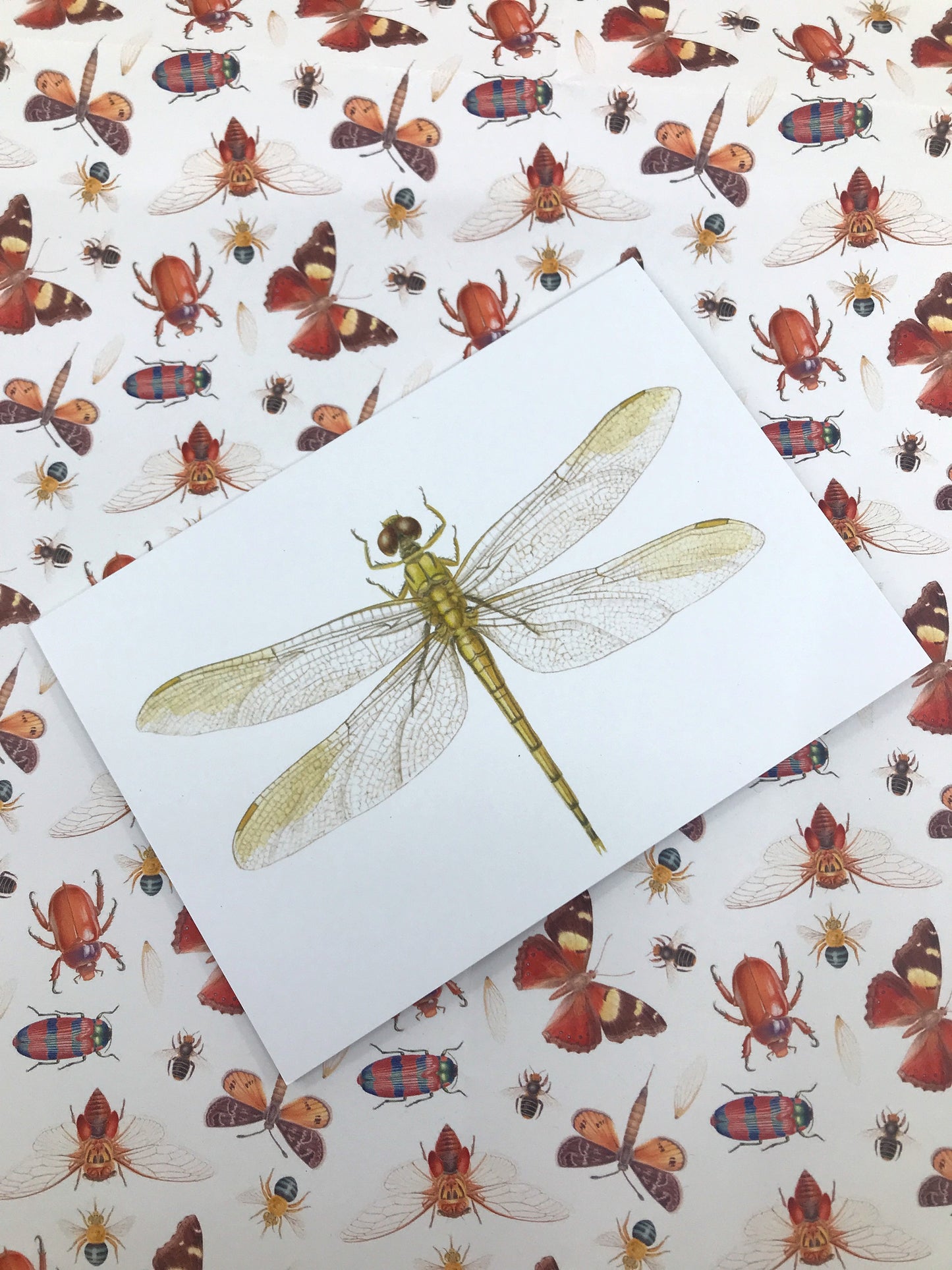 Blue Skimmer Dragonfly Greeting Card
