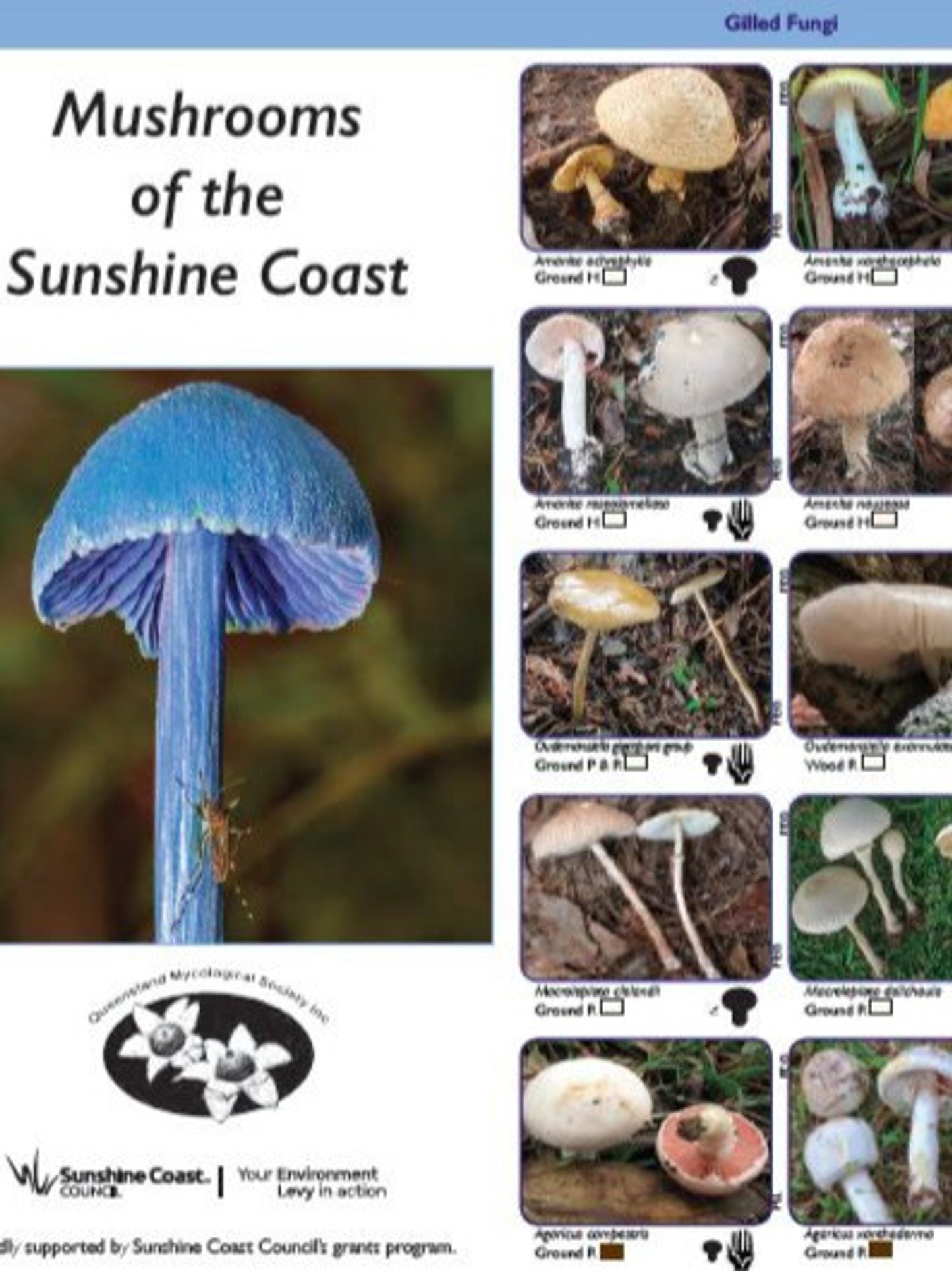 Pair of Guides: Mushrooms and Fungi of the Sunshine Coast