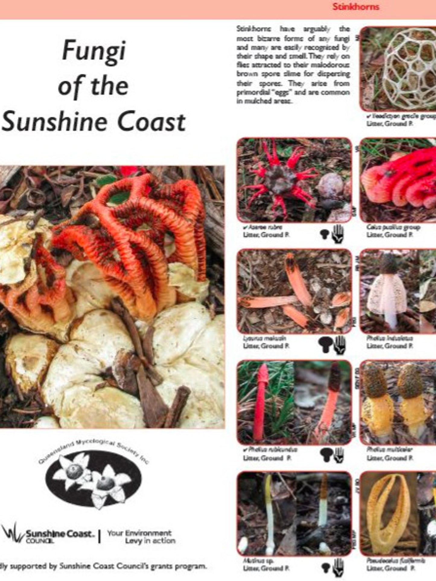 Pair of Guides: Mushrooms and Fungi of the Sunshine Coast