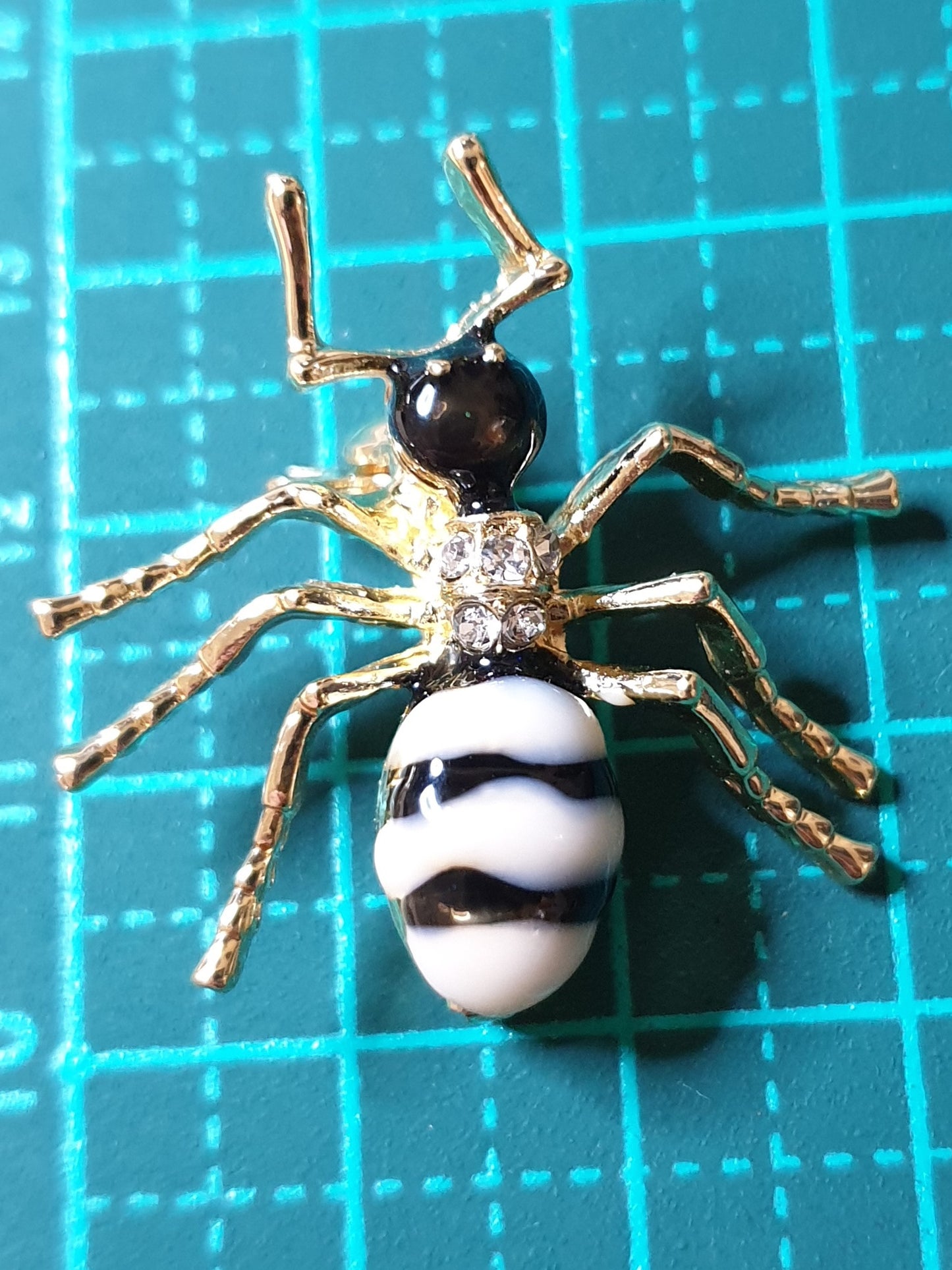 Honeypot Ant Brooch - Vanilla