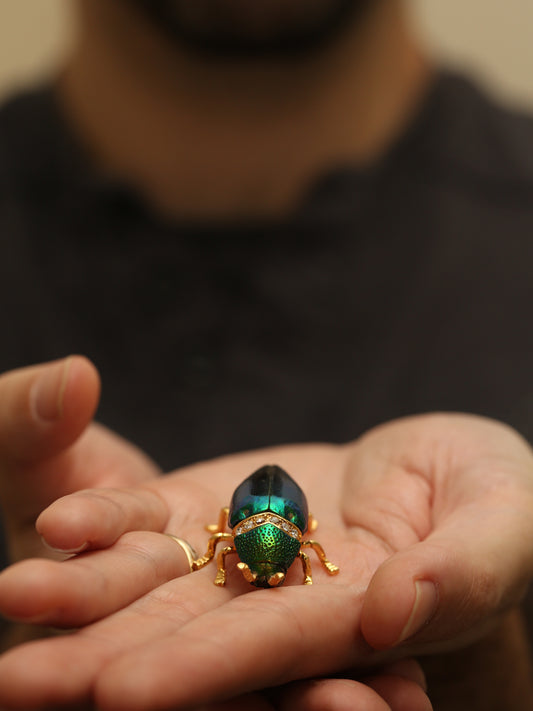 Real Jewel Beetle Brooch