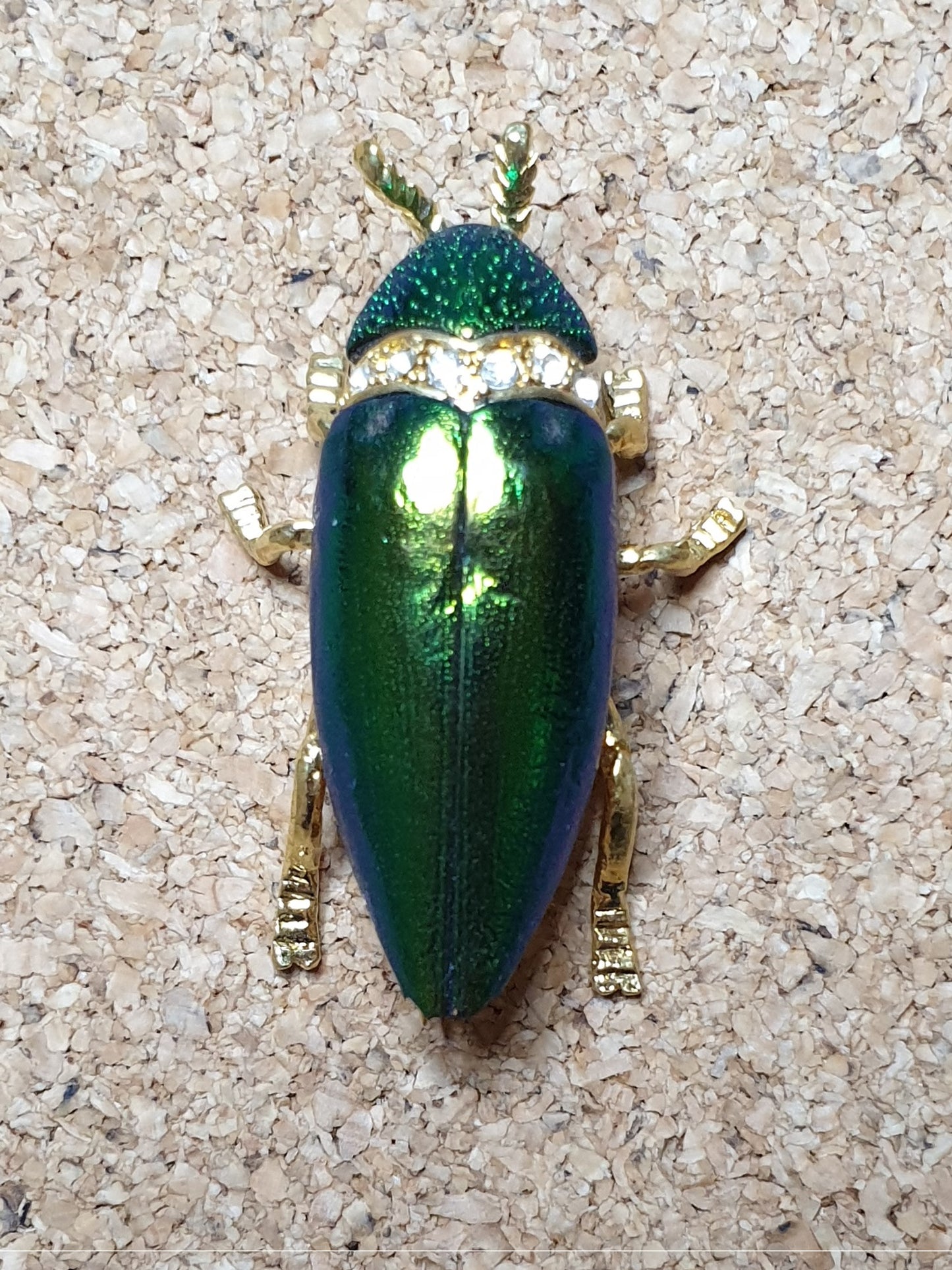 Real Jewel Beetle Brooch