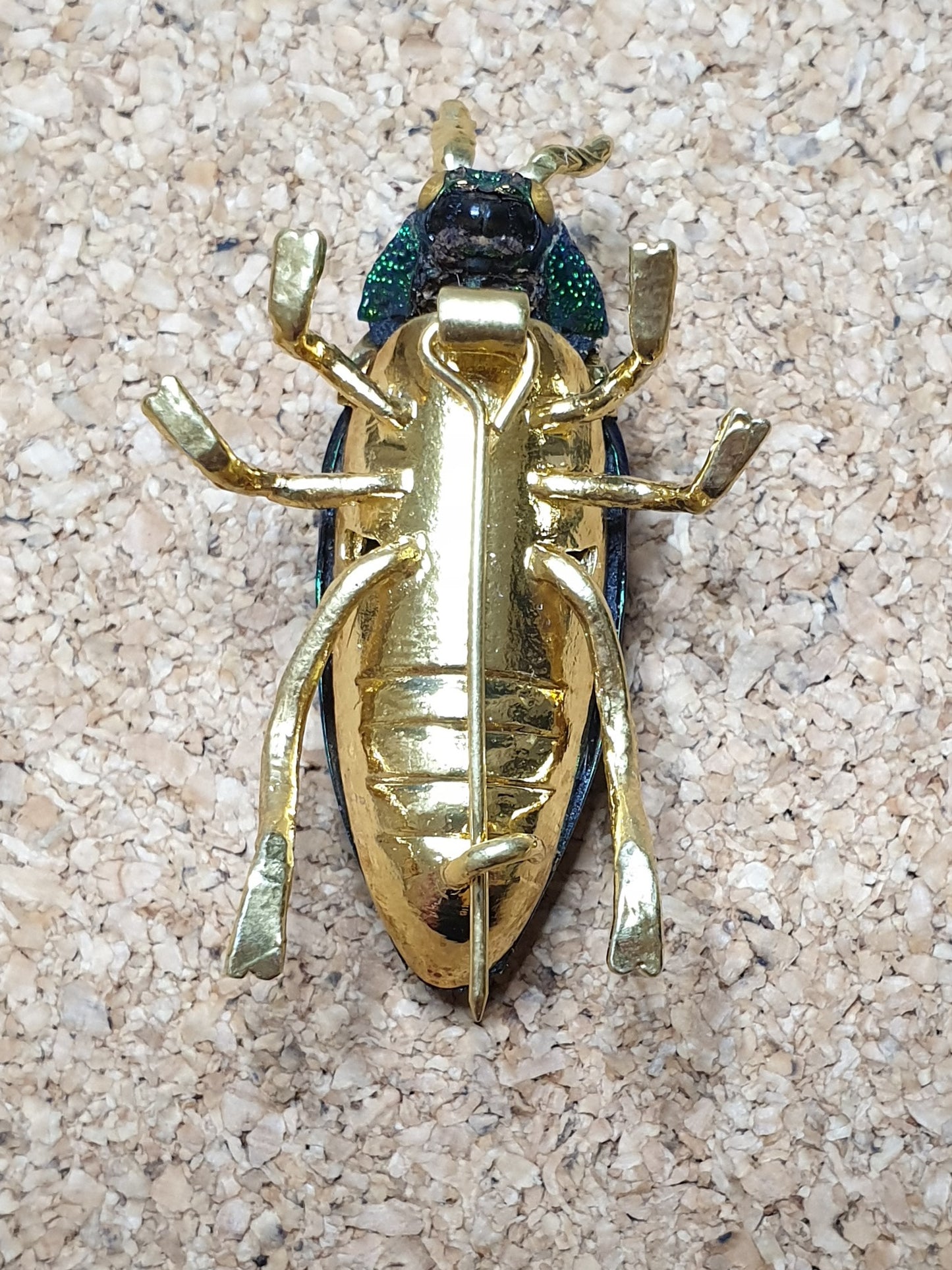 Real Jewel Beetle Brooch