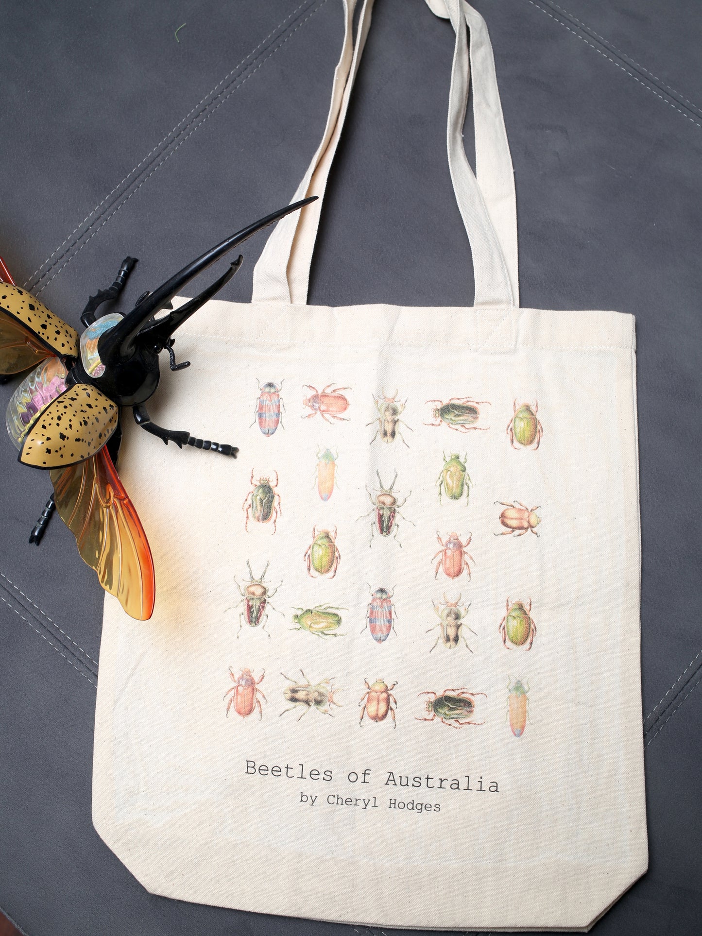 Caligo Bag -Beetles of Australia