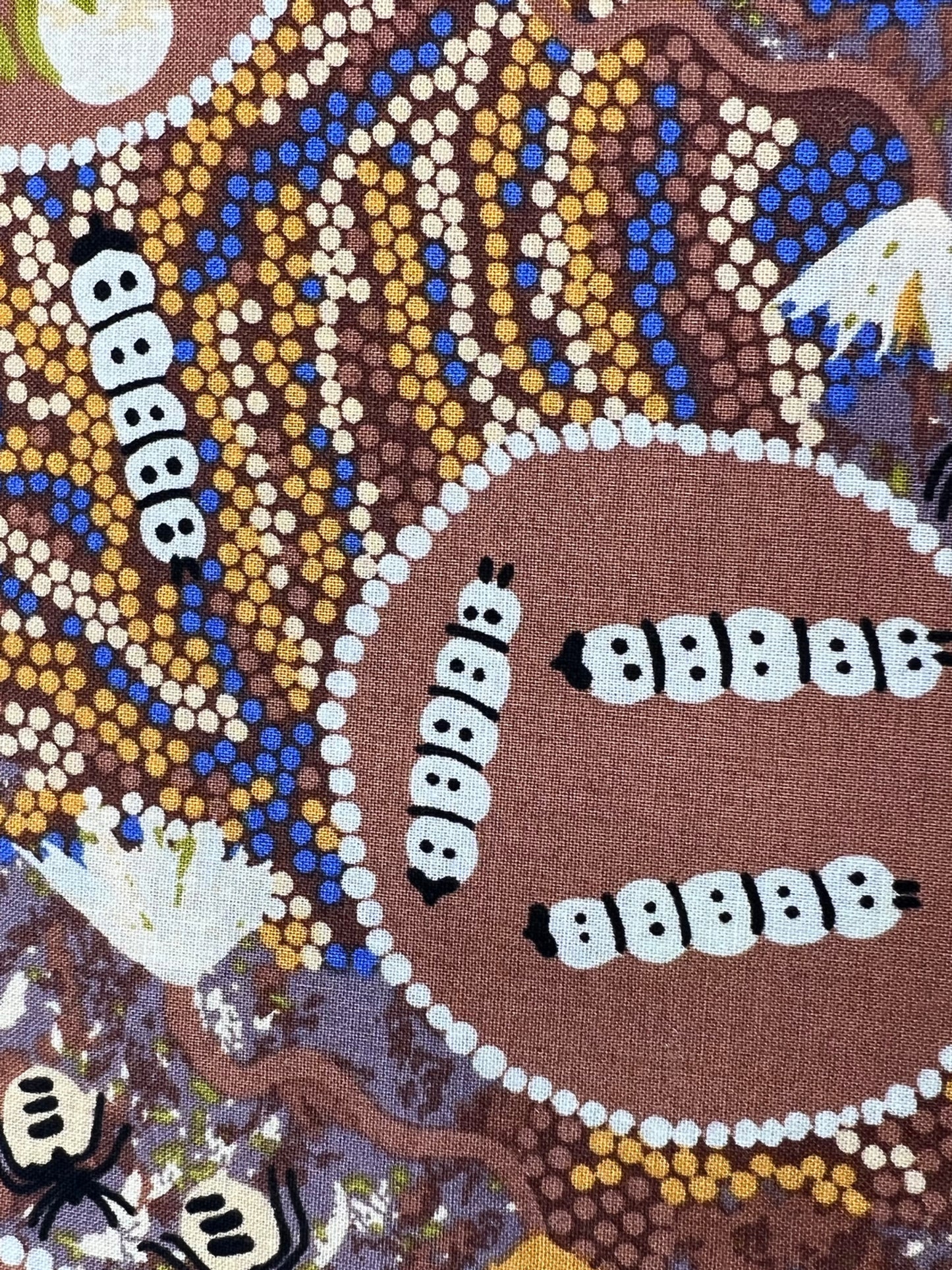 Australian aboriginal insect art mask