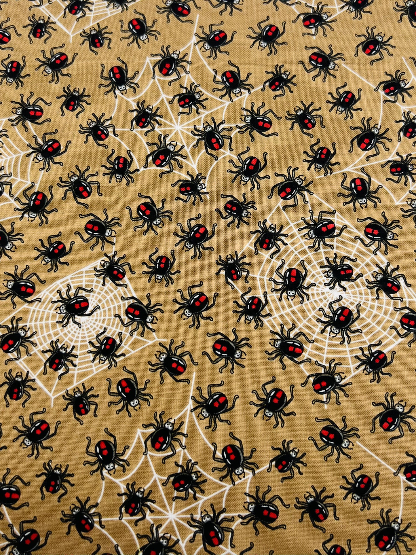 Cute redback spiders Face Mask