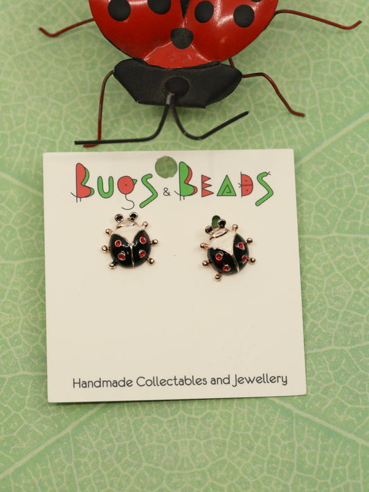 Ladybird beetle Studs - Black