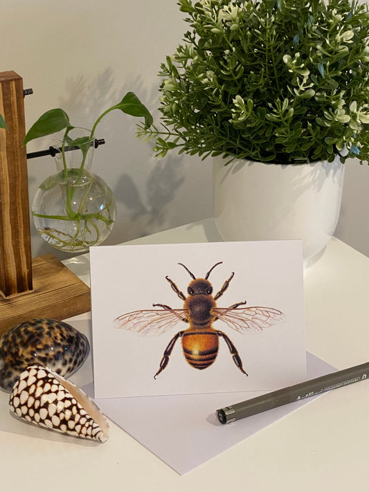 European Honey Bee Greeting Card