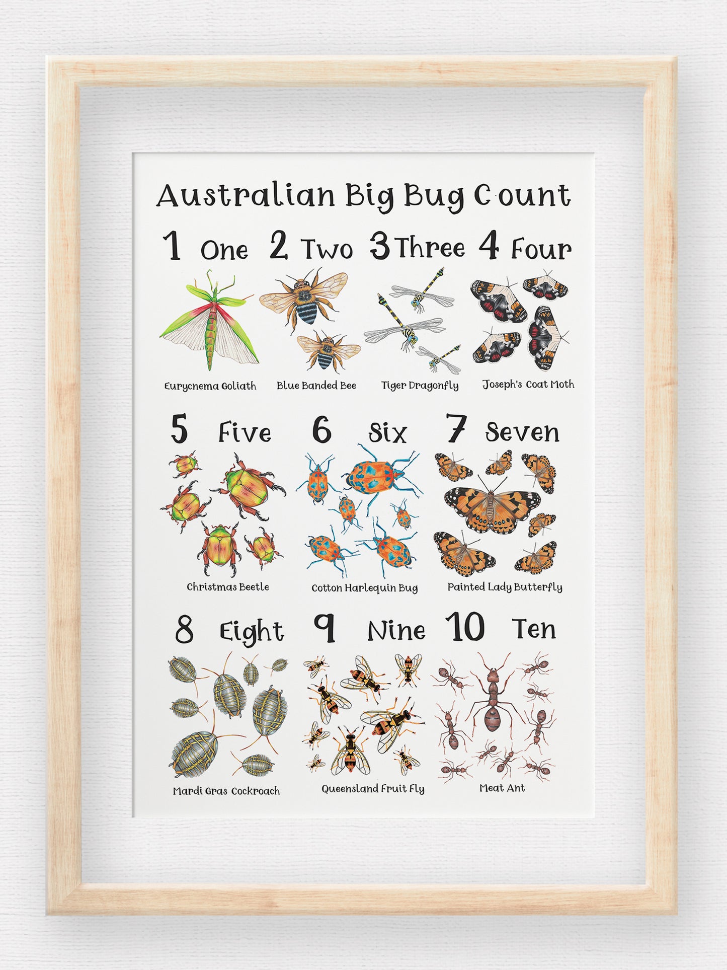 The Australian Big Bug Count Poster